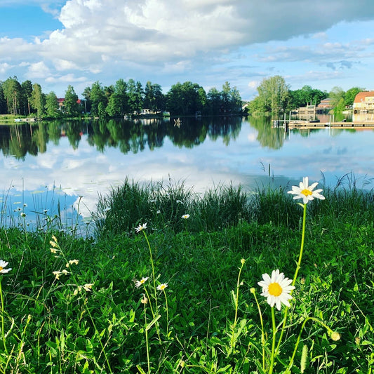Summer in Sweden