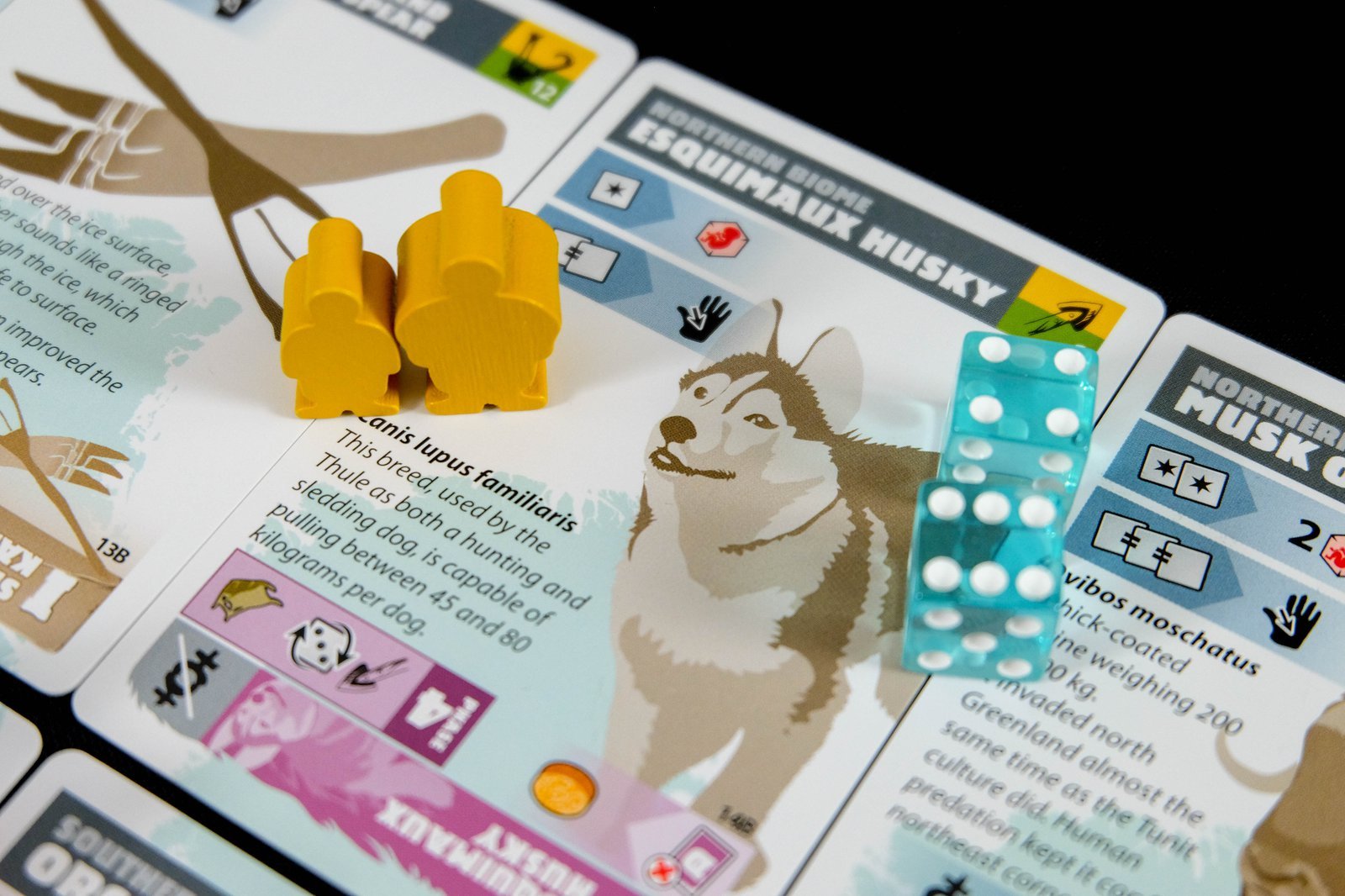 Greenland board game (3rd edition)  - Expanded view of dice, custom meeples, and a biome card featuring the Esquimaux Husky