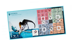 Dino Dynasty Board Game (Retail)