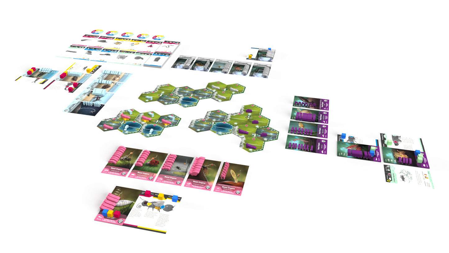 Bios: Mesofauna board game - Game components (playing cards, tokens, and placards) layed out in the playing postion
