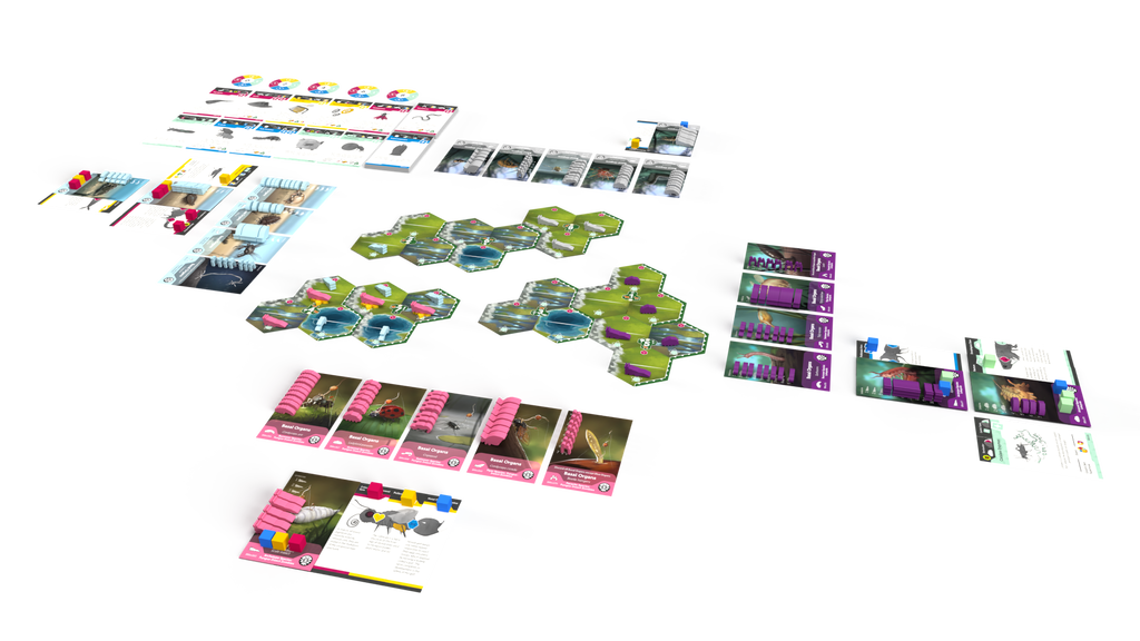 Bios: Mesofauna board game - Game components (playing cards, tokens, and placards) layed out in the playing postion