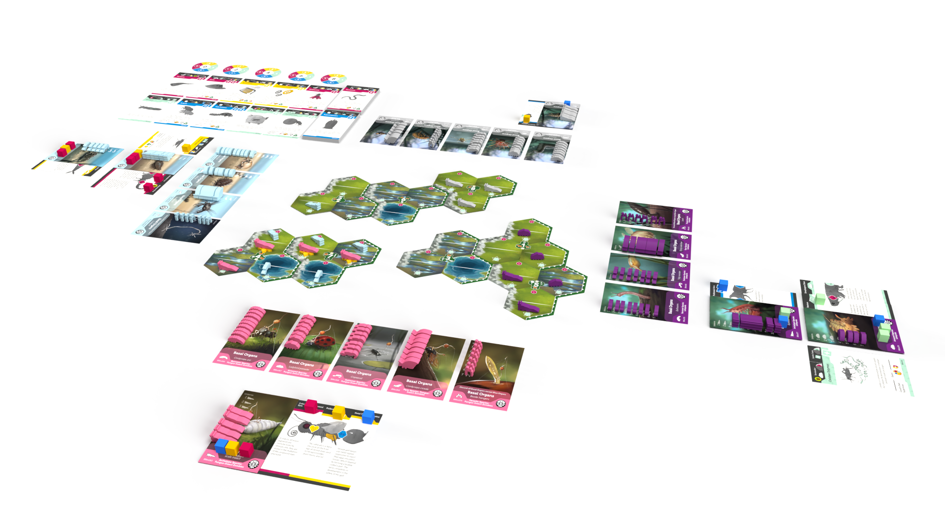 Bios: Mesofauna board game - Game components (playing cards, tokens, and placards) layed out in the playing postion