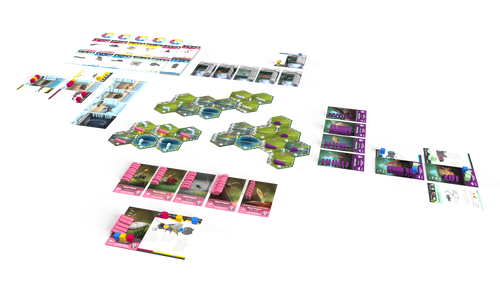 Bios: Mesofauna board game - Game components (playing cards, tokens, and placards) layed out in the playing postion