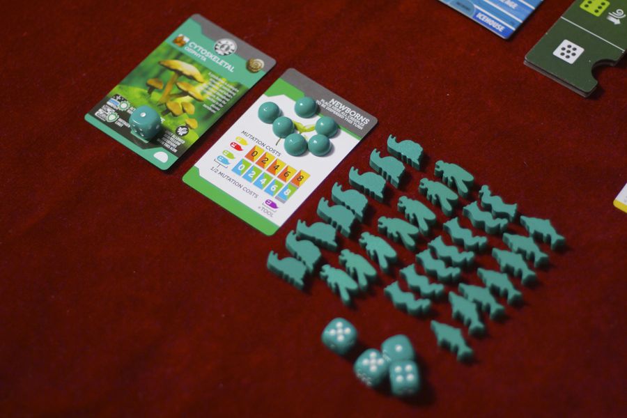 Bios: Megafauna (2nd edition board game) - Playing cards organized with wooden creeple tokens