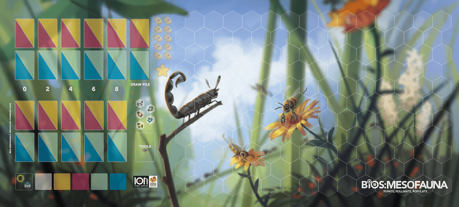 Expanded view of the game board design