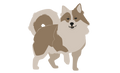 Greenland promo pack 1 sheep dog