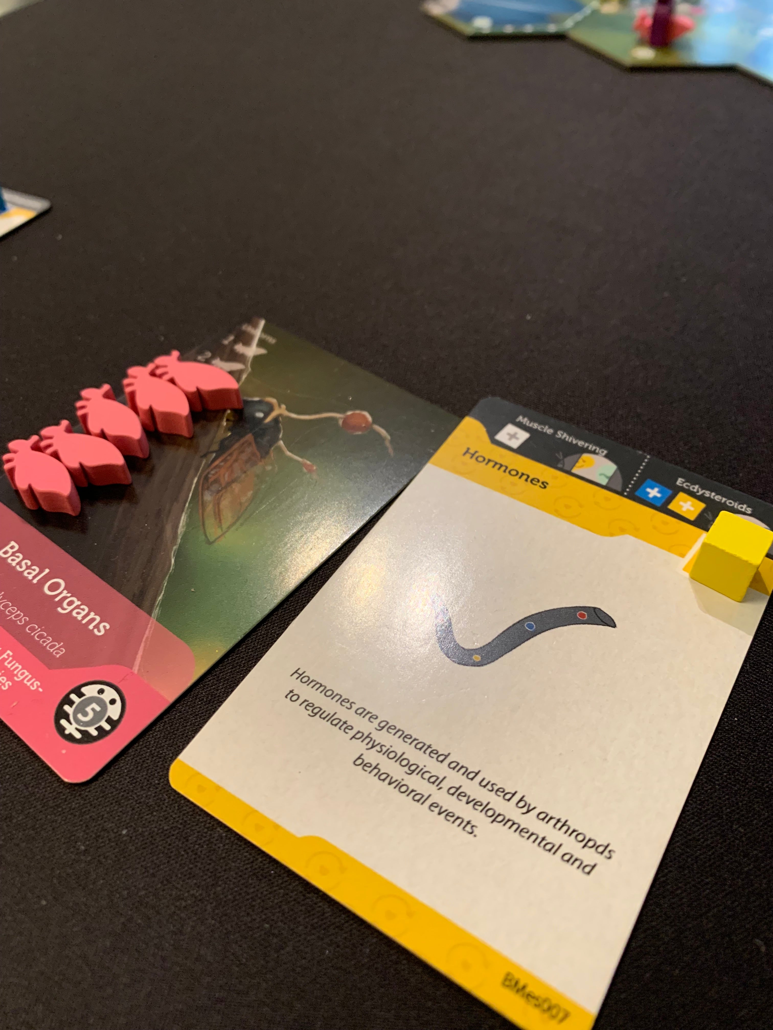 Bios: Mesofauna board game - Expanded view of Hormone and Organ cards 