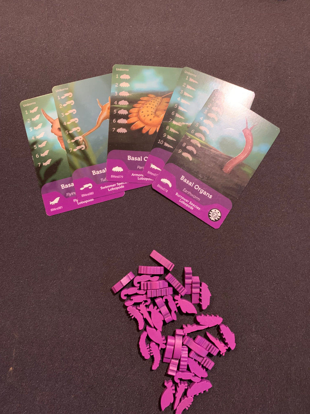 Bios Mesofauna Board Game (RETAIL)