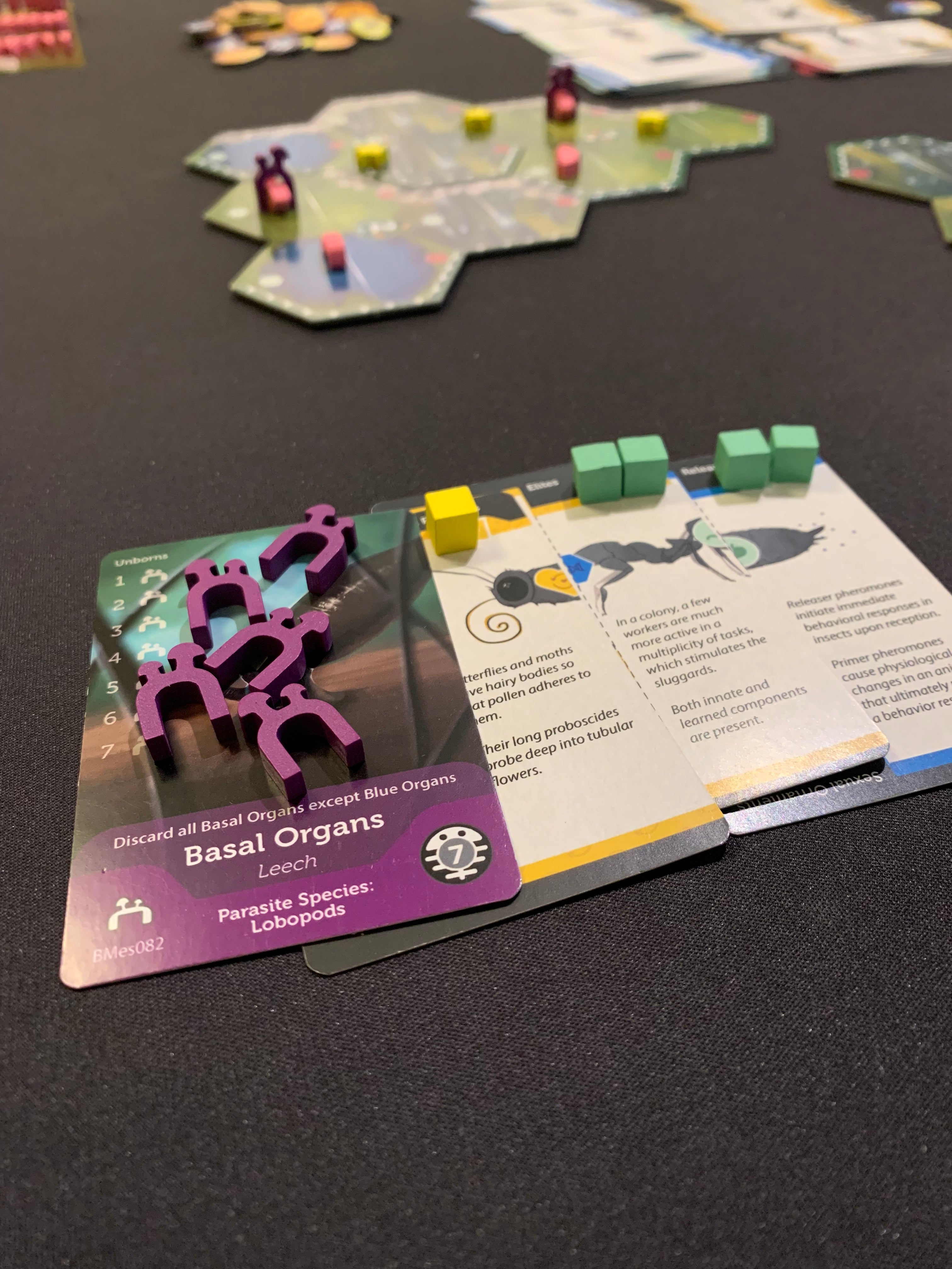 Bios Mesofauna Board Game