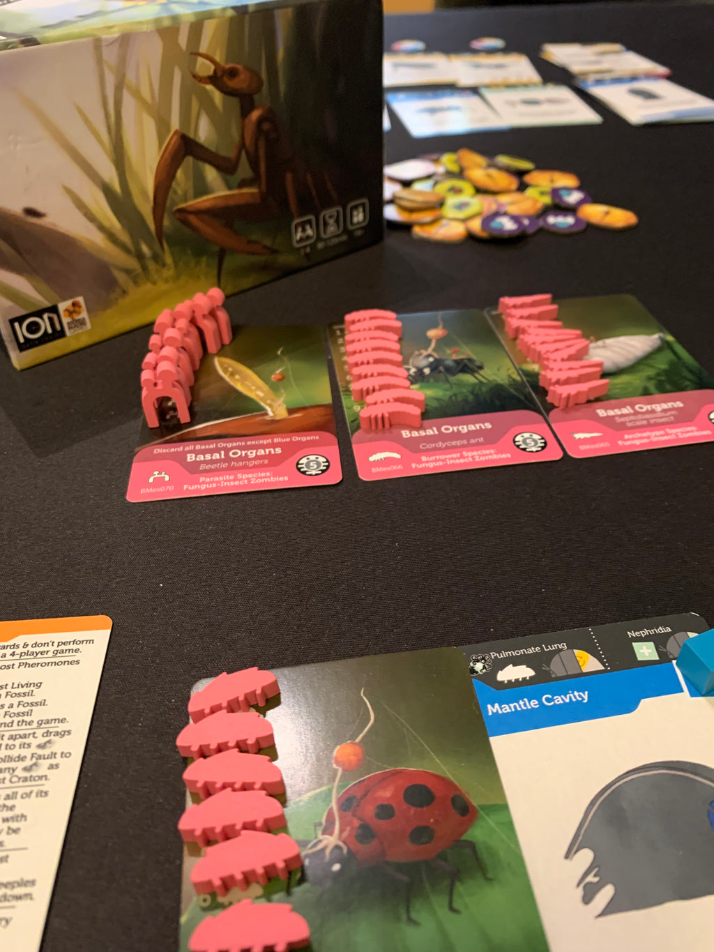 Bios Mesofauna Board Game (RETAIL)