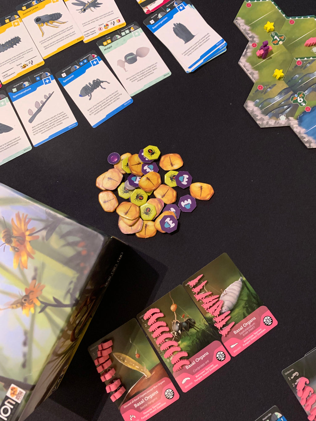 Bios Mesofauna Board Game (RETAIL)