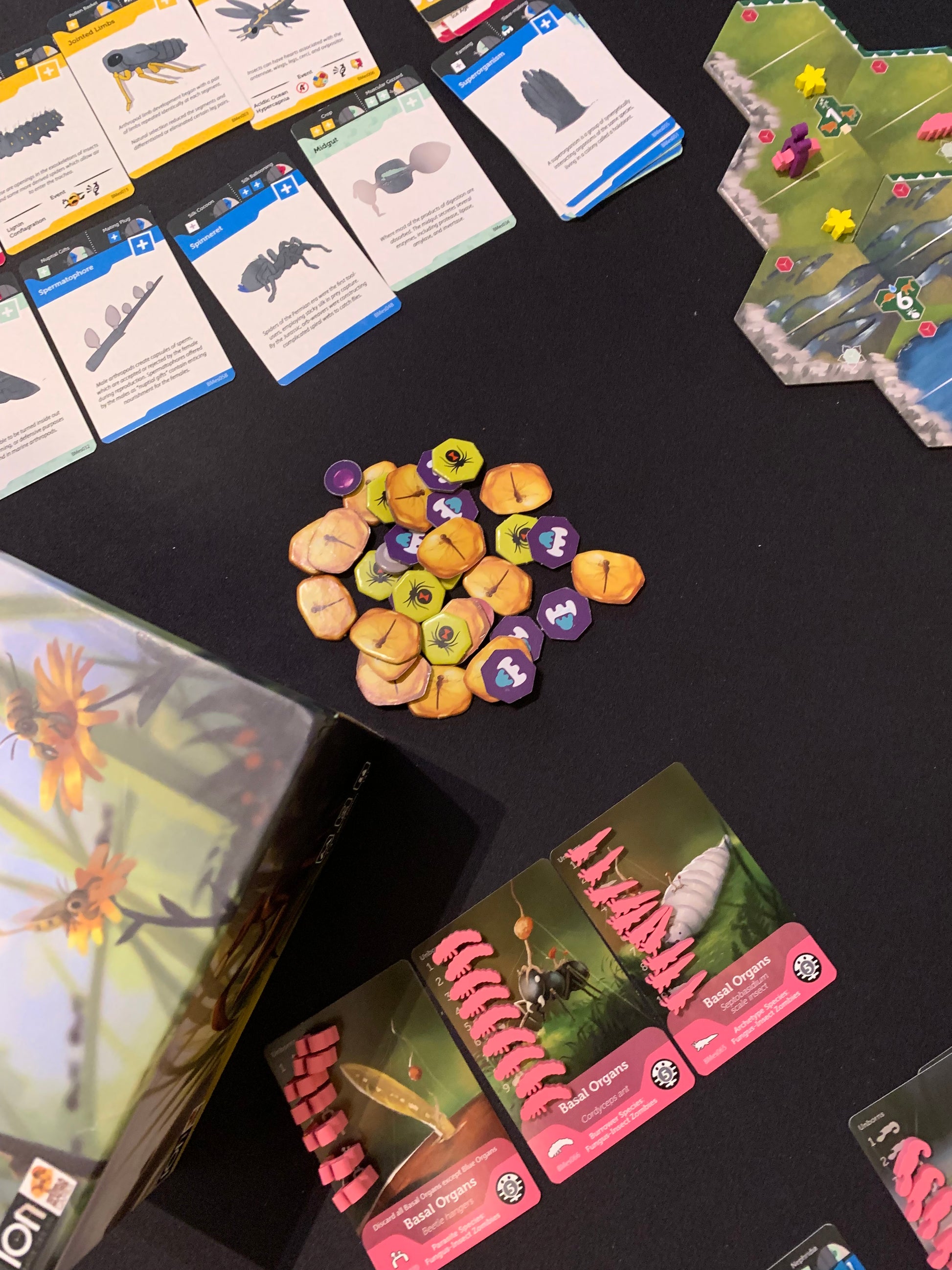 Bios: Mesofauna board game - Organized view of different game play cards, pieces, and dice