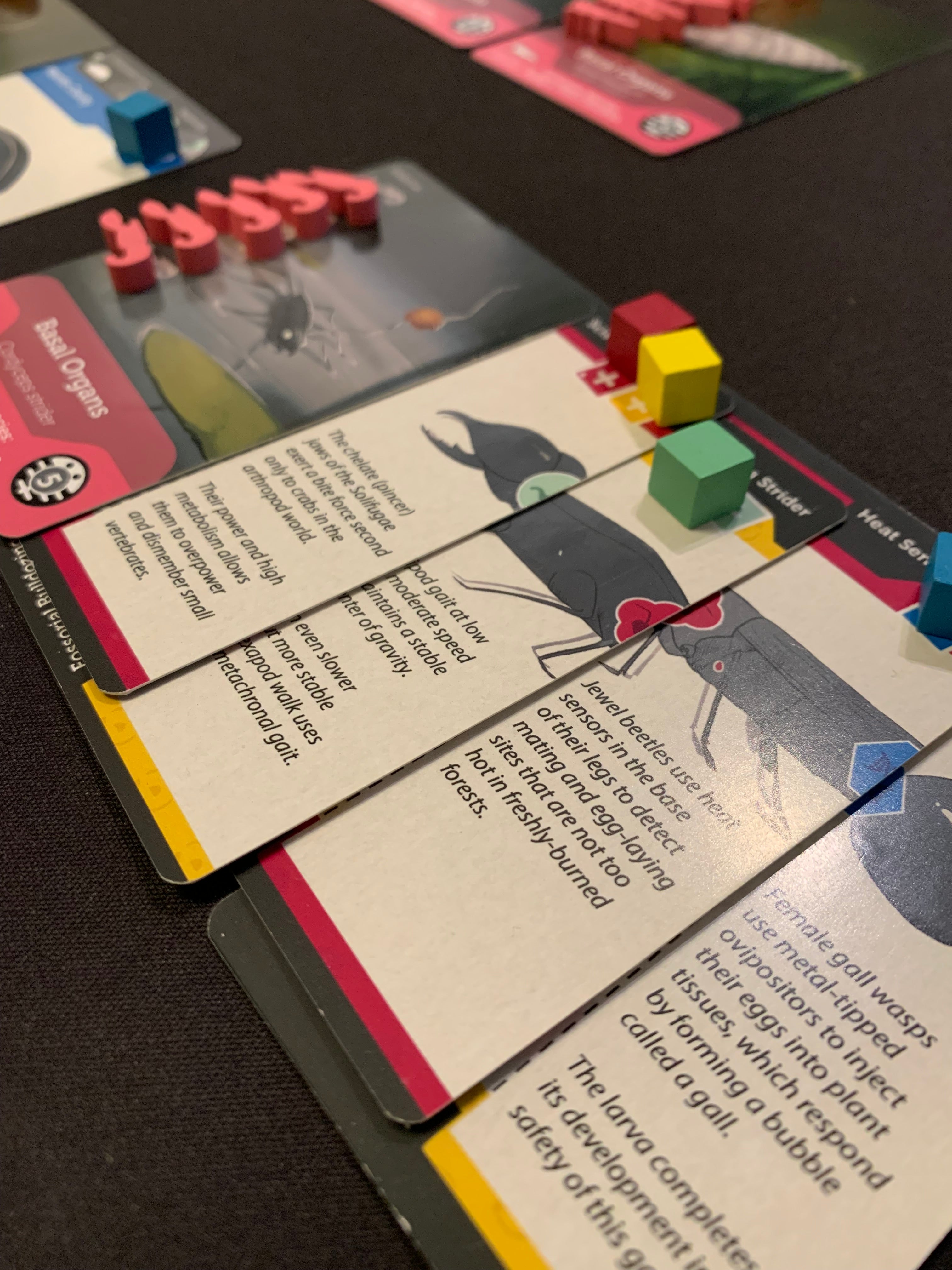 Bios Mesofauna Board Game (RETAIL)