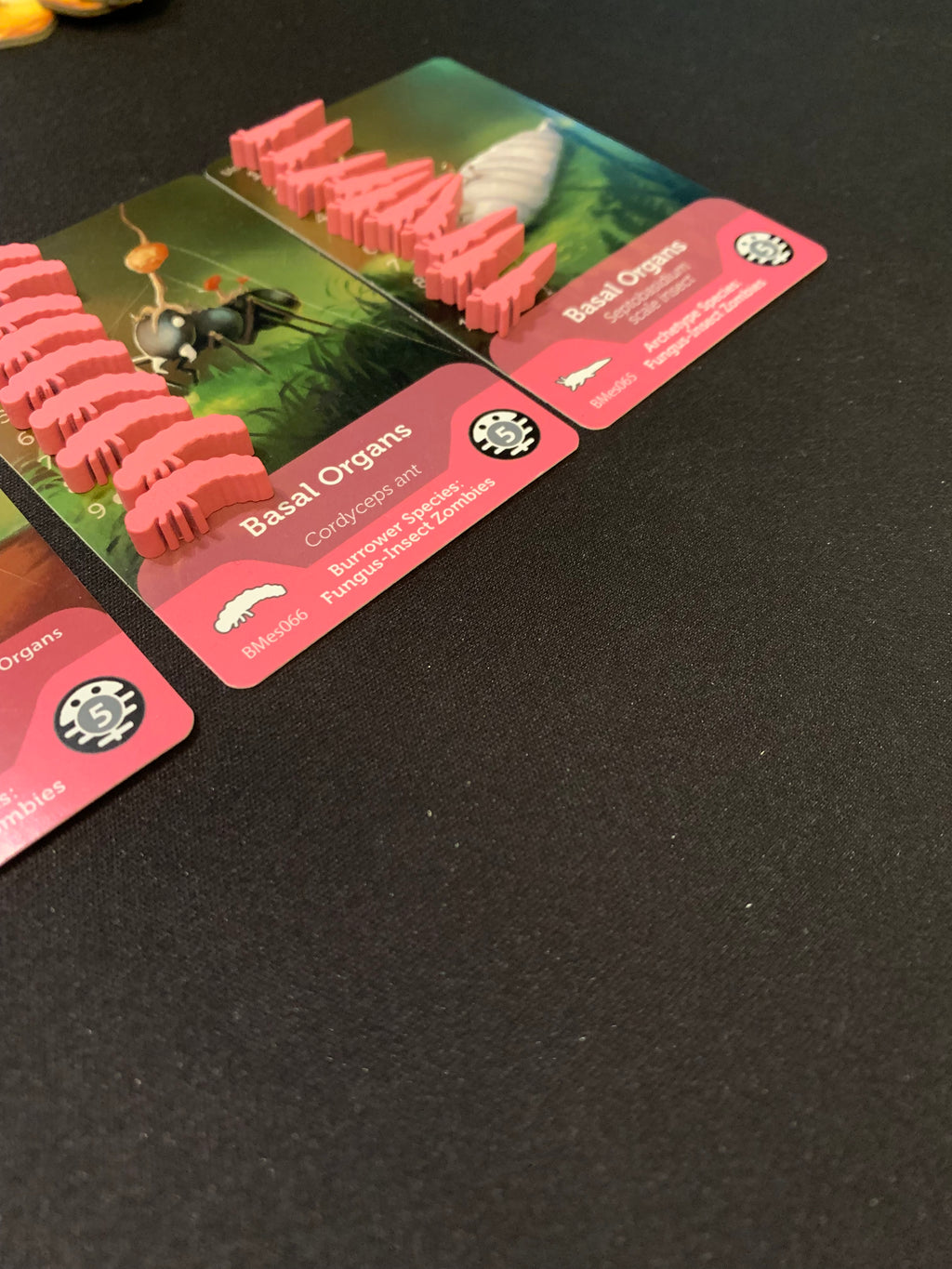 Bios Mesofauna Board Game