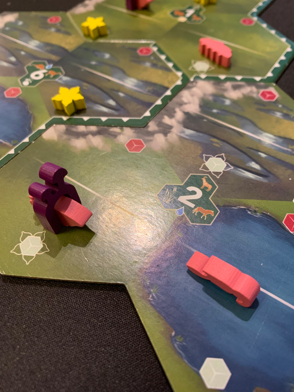 Bios Mesofauna Board Game (RETAIL)